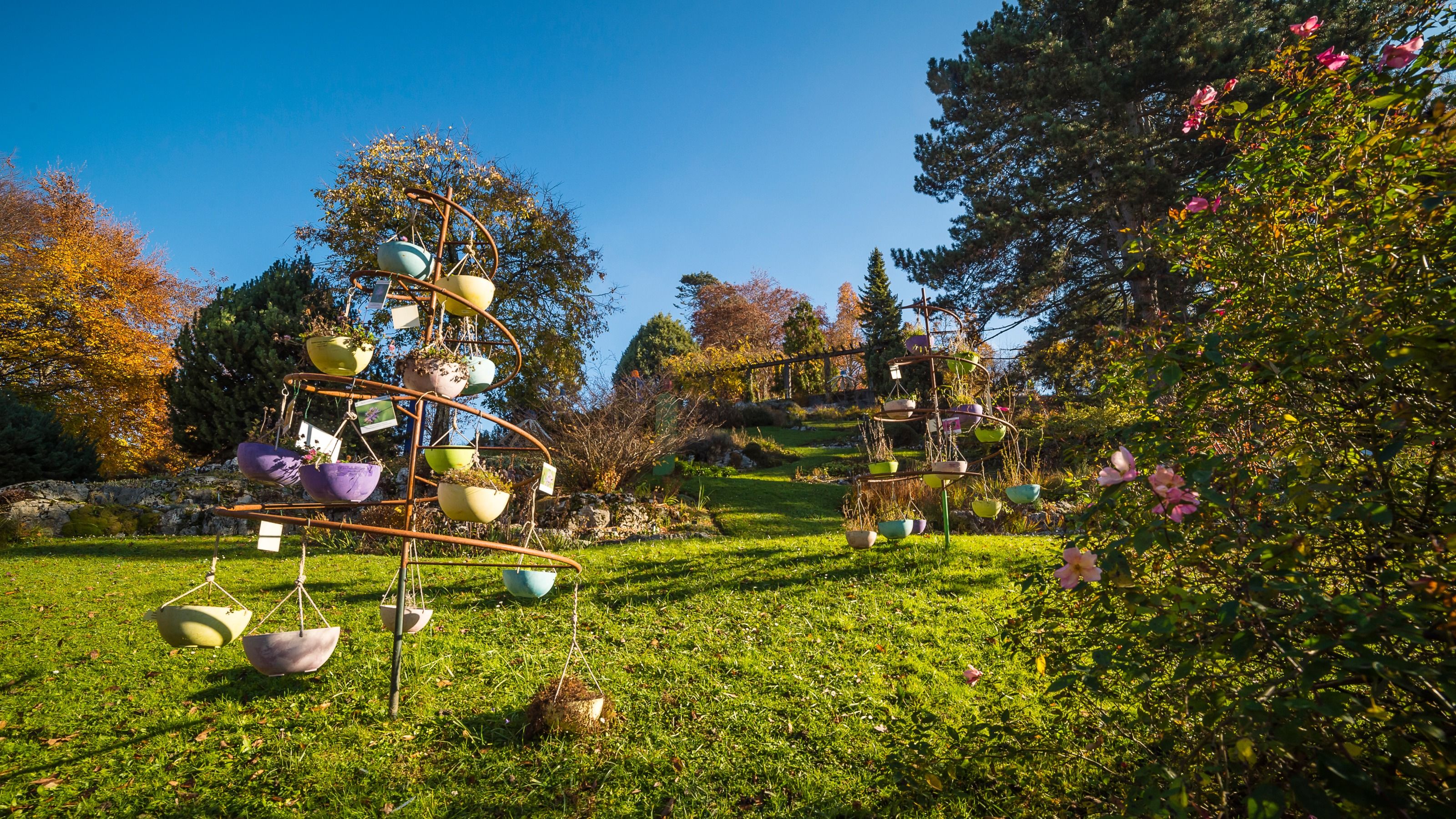 Botanischer Garten Schweiz Tourismus